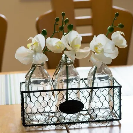 Tatil Evi Waterkant Norden